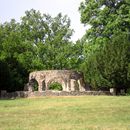 (2010-07) RUG AF 4009 Putbus Schlosspark