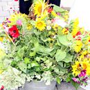 (2010-08) 1107 Floristischer Gruss vom Arbeitgeber