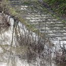 (2011-01) 1036 Hochwasser in Leipzig