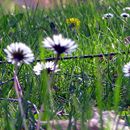 (2011-04) 536 Besuch in Konradsreuth