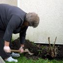 (2011-07) AF 448 Entsteht hier ein Tierfriedhof