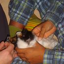 (2011-12) 144 Tom und Jerry im Kosmetiksalon