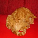 (2011-12) 188 Max als Poser
