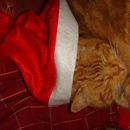 (2011-12) 193 Max als Poser