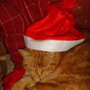(2011-12) 194 Max als Poser