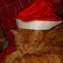 (2011-12) 195 Max als Poser
