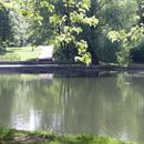 (2012-05) 0019 Wandertag Pierre - Dresden