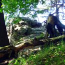 (2012-05) 7413 Bastei-Ausflug Hexenkamera