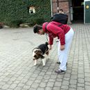 (2014-02) GT HX 023 - auf den Hund gekommen