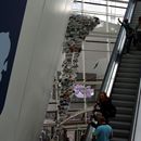 (2014-08) RUG HK 0721 Ozeaneum