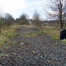 (2015-04) 28747 - Hamster-Rad-Saisoneroeffnung - am Rangierbahnhof Plagwitz