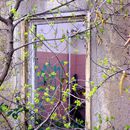 (2015-04) 28761 - Hamster-Rad-Saisoneroeffnung - am Rangierbahnhof Plagwitz