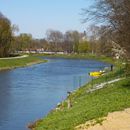 (2015-04) CP 0066 - Elster an der abgerissenen Paussnitzbruecke am Schleussiger Weg