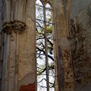 (2015-04) CP 0228 - Wachau - Rund um die Kirchenruine