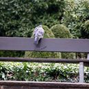 (2015-04) HK 1671 Ostern in GT - auf dem alten Johannisfriedhof