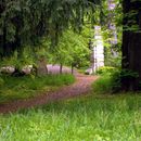 (2015-05) CP 0549 - Knauthain - im Schlosspark