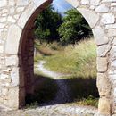 (2015-06) CP 0755 - Freyburg - alte Stadtmauer