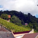 (2015-06) CP 0790 - Freyburg - an der Schuetzenstrasse