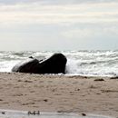 (2015-07) Ruegen XK 0612 - letzter Tag am Strand