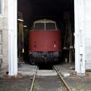 (2015-10) HK Halle 5446 Bahnmuseum - die BR 228 guckt aus dem Schuppen 