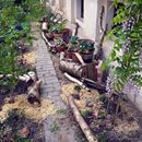 (2016-05) LU 1811 - die kleine Hexe bei der Gartenumgestaltung