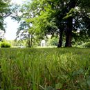 (2016-06-21) Markkleeberg HK 6628 - Pavillon und Teich im Arga-Park