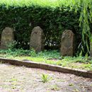 (2016-06) HK 6346 - an der Kirchenruine in Wachau