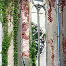 (2016-06) HK 6360 - an der Kirchenruine in Wachau