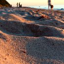 (2016-07) Ruegen HK 6882 - Abendstimmung am Bakenberger Strand