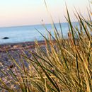 (2016-07) Ruegen XK 1150 - Abends am Bakenberger Strand