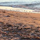 (2016-07) Ruegen XK 1153 - Abends am Bakenberger Strand