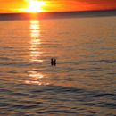 (2016-07) Ruegen XK 1163 - Abends am Bakenberger Strand