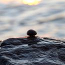 (2016-07) Ruegen XK 1164 - Abends am Bakenberger Strand