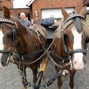 (2016-08-11) CP 1561 - Kutschfahrt-Startbereit