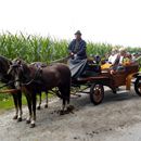 (2016-08-11) CP 1625 - Kutschfahrt-Pause und Ende der Fahrt