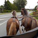 (2016-08-11) CP 1644 - Kutschfahrt-Pause und Ende der Fahrt