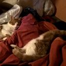 (2016-10) XK-L 09-174130 - Pepito und Nepomuk