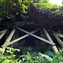 (2017-07) HLM - 1755 - Alter Friedhof Markkleeberg - Lost Places