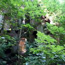 (2017-07) Rügen HK 1194 - Lost Places - Gut Lancken