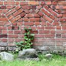 (2017-07) Rügen HK 1313 - Stralsund - entlang der Stadtmauer am Knieperwall