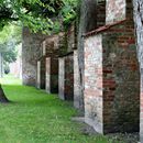 (2017-07) Rügen HK 1338 - Stralsund - entlang der Stadtmauer