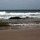 (2017-07) Rügen HK 1497 - Am Bakenberger Strand