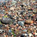 (2017-07) Rügen HK 1533 - Am Bakenberger Strand