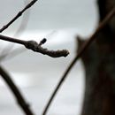 (2017-07) Rügen XK 1682 - Regen + Wald + Wellen am Bakenberg