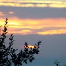 (2017-07) Rügen XK 1704 - Abendstimmung am Bakenberg