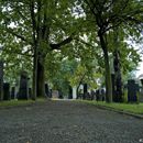 (2017-08) HLM (125) - Alter Israelitischer Friedhof Eutritzsch