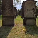 (2017-08) HLM (139) - Alter Israelitischer Friedhof Eutritzsch