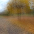 (2017-11) Bad Dürrenberg 0994 - im Kurpark