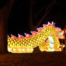 (2018-02) HK 1567 - Lichterwelten im Bergzoo Halle