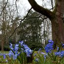 (2018-03) HK 2035 - Gütersloh - Botanischer Garten